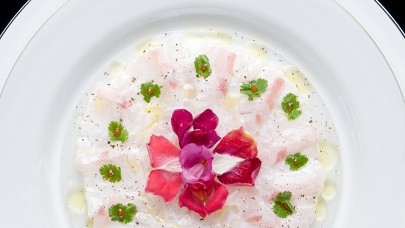 Carpaccio de dorade au citron vert