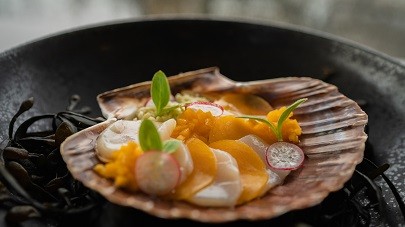 Carpaccio de Saint-Jacques à la mangue